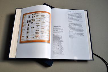 Thy Will Be Done Limited edition book, spread - Jamie Shovlin